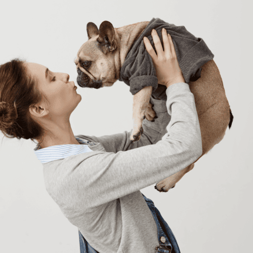 treino canino