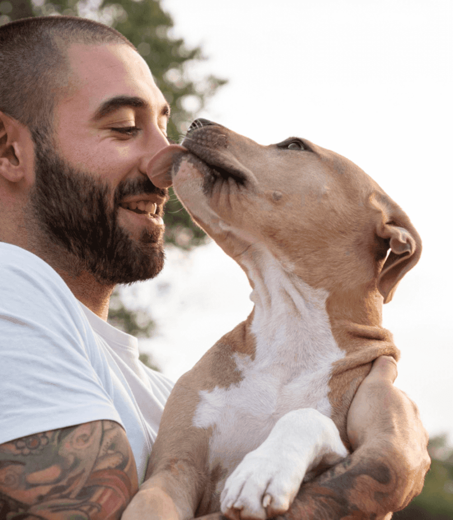treinador de cães