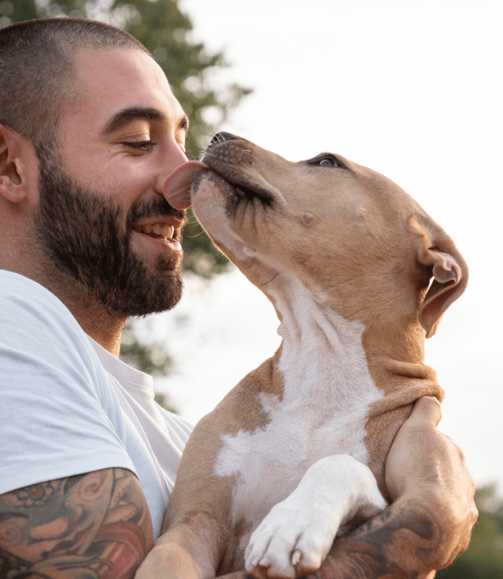 treinador de cães