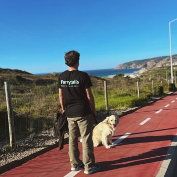 dog walking