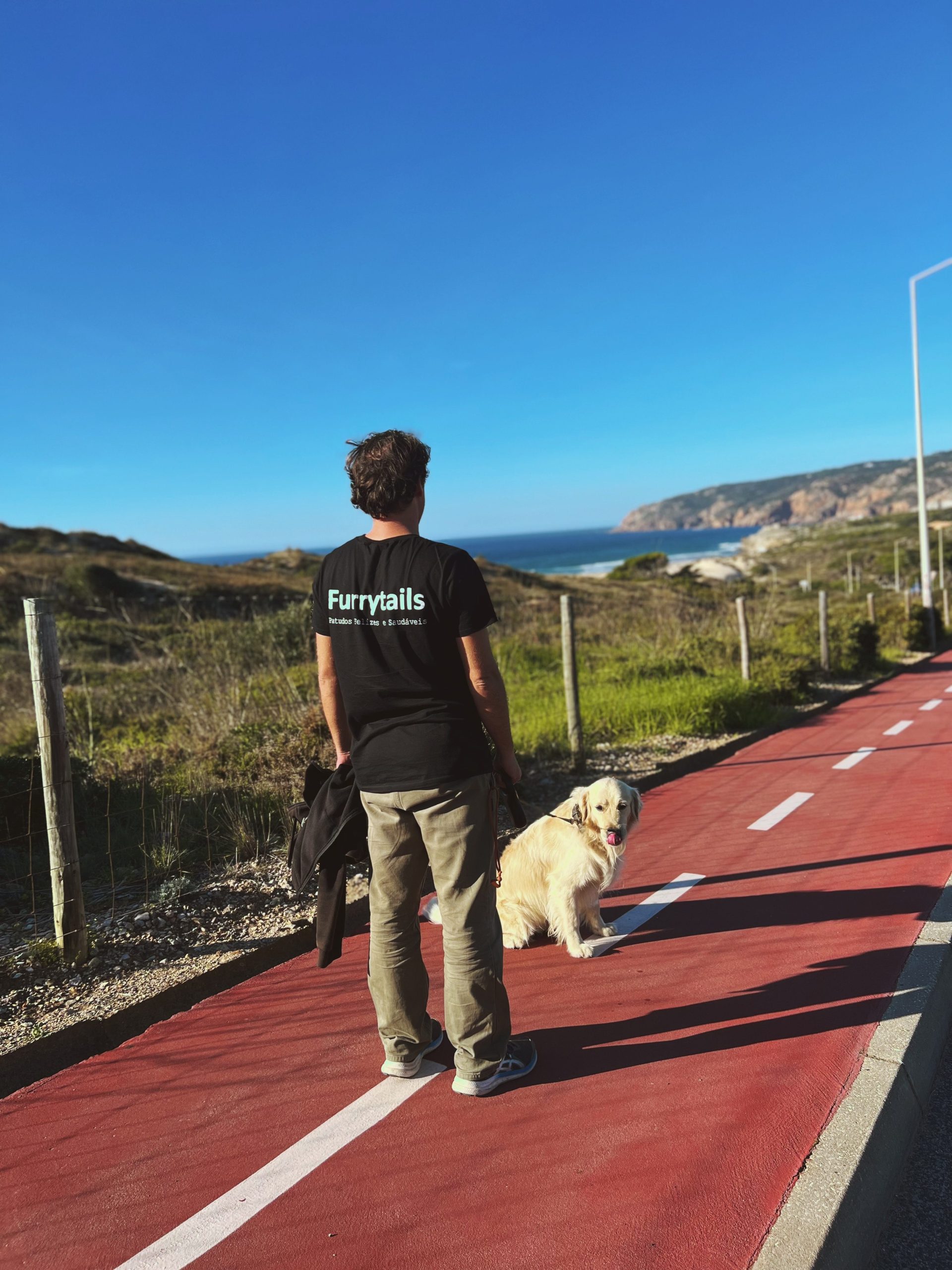 dog walking